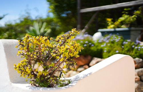 Casa Manjua - Foto 43