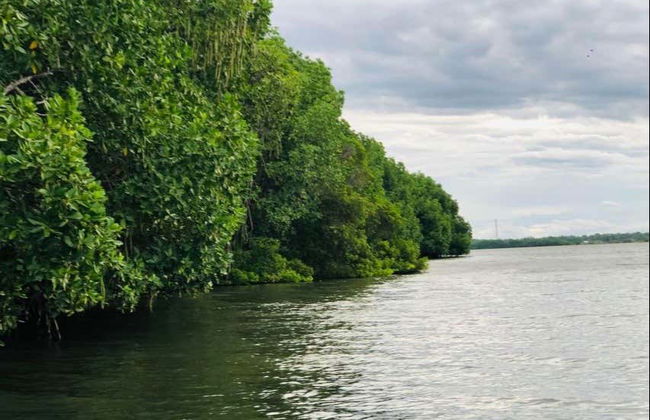 Passeio privado de barco pelos manguezais de Pottuvil - Foto 5