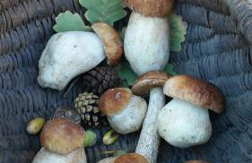 Chatka mojego dziadka - Foto 36