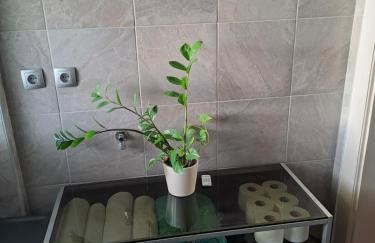 Apartman Soda - Foto 47