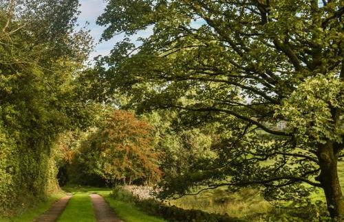 Quarry Cottage - Foto 15