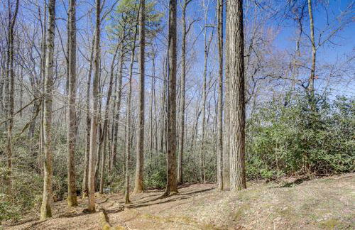 Resort Perks! Family Sky Valley Gem with Mtn Views - Foto 38