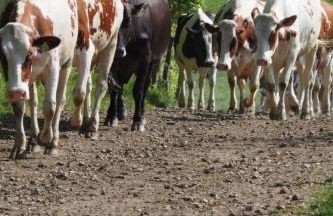 Holiday Home Exklusives Ferienhaus mit Terrasse und Garten by Interhome - Foto 24