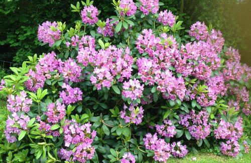 Hewletts Mill - Foto 16