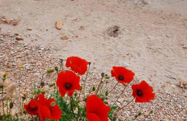 New Sea Escape Boutique Apt-Agii Aposto li beach - Foto 54