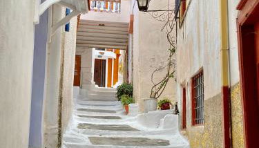 Lion House II - Foto 3