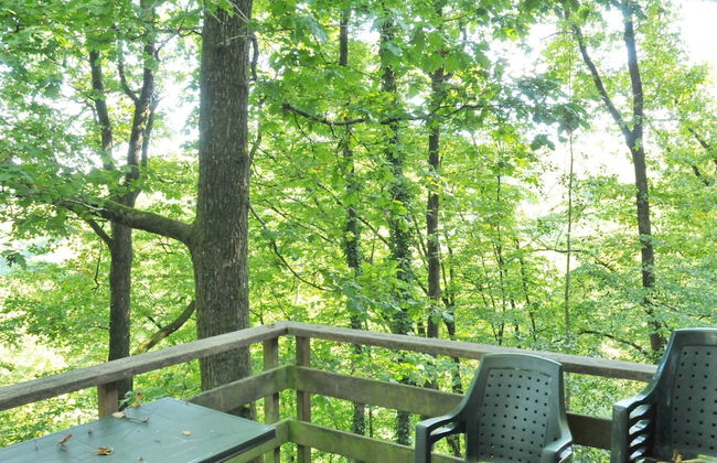 Nicely Furnished Bungalow with Fireplace near Maas - Foto 9