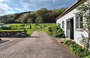 Brecon Beacons Lovely cottage with stunning views - Photo 6