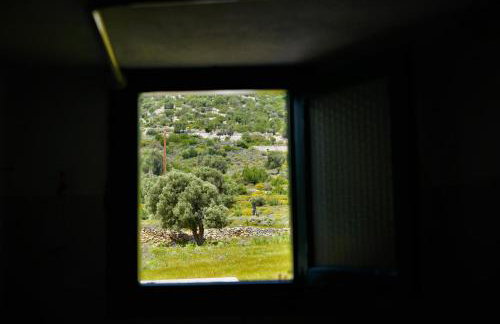 Anevalousa Beach House - Foto 31