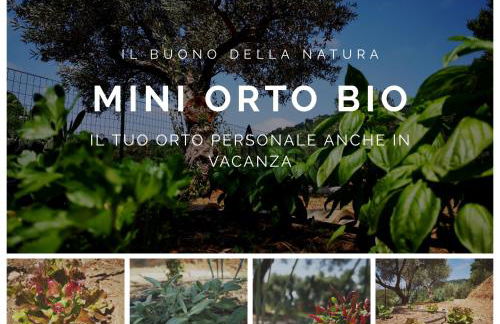 Due Esperienza Panoramica - Photo 46