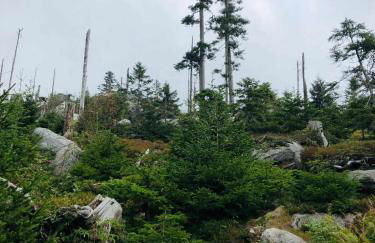 Haidműhle Šumava - Foto 17