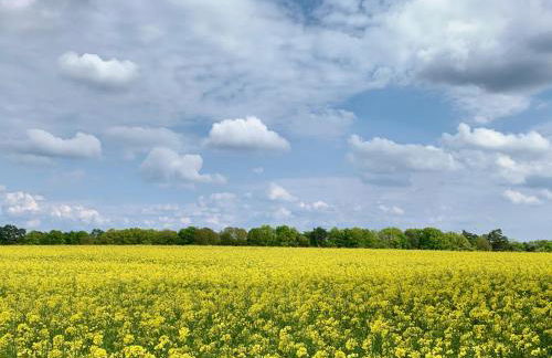 Gut Pälitzhof - Foto 28