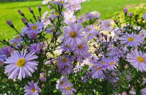 Haus am Walde - Foto 30