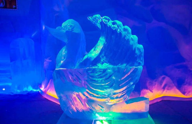 Ingresso do parque Mundo Gelado do Capitão - Foto 7