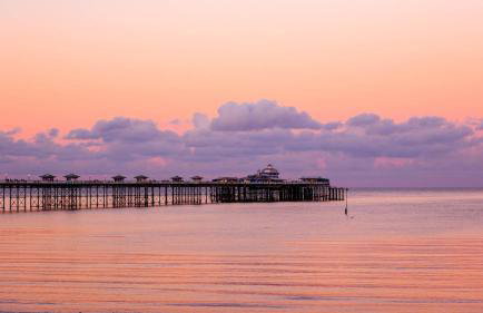 5 Star Shepherds Hut in Betws y Coed with Mountain View - Foto 27