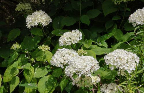 Dairy Cottage - Foto 26