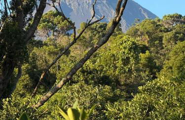 Casa Amaral - Photo 28