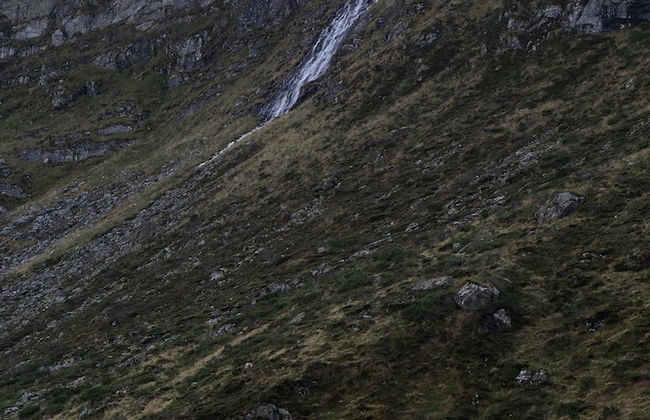 Alnes Gård - Photo 77