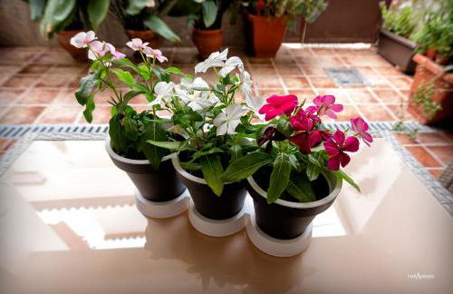 Casabobastro - Foto 23