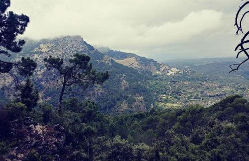 Vtar Pilar 3 - Foto 26