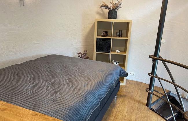 Laugavellir House and Tower Suite - Foto 2