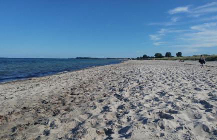 Ferienwohnung Will - Foto 15