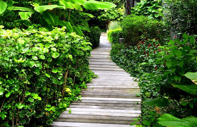 Pinebox Mirage by the Lake - Foto 28