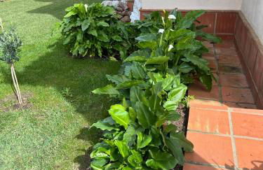 Villa Alegría - Foto 6