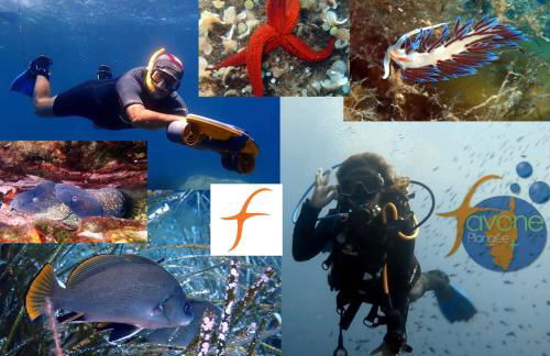 A Rossa Location - Foto 50