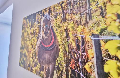 Chez Patisa - Business and Tourism - RBNB - Foto 18