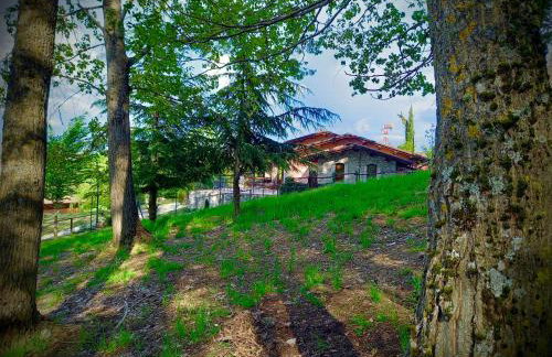 Appartamento Vacanze Il Daino - Foto 1