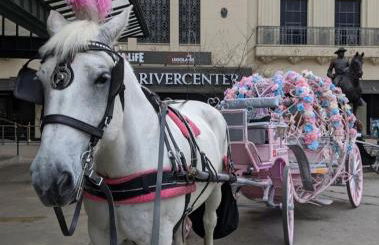 Walk Everywhere - Charming Studio on the Riverwalk - Foto 20