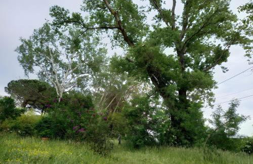 Gîte Harmony - Foto 23