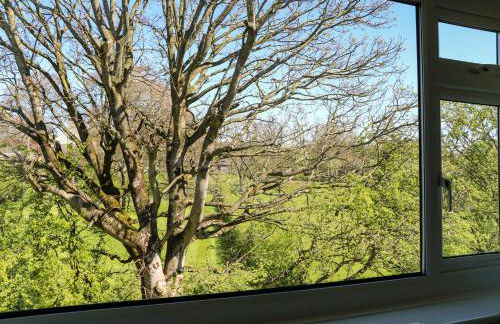 Anglesey White Haven - Foto 15