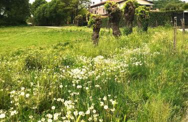 Le Ortensie Lago di Garda - Foto 62