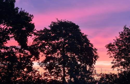 Giese FeWo Küstenglück - Foto 33