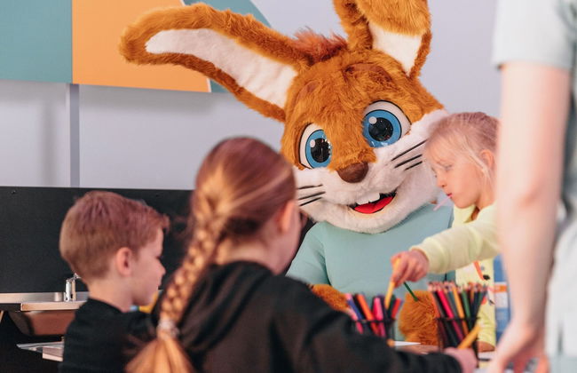 Detached Villa in Traditional Style near Bad Bentheim - Foto 6