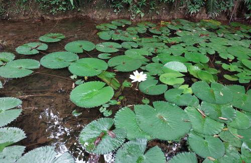 Casa Petar Betari - Foto 74