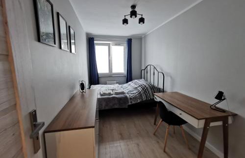 Stare Miasto - Foto 9