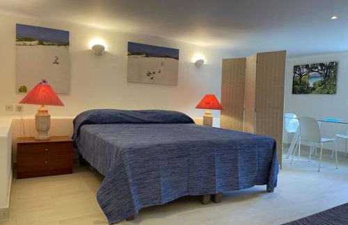 Studio with Private Swimming Pool and Garden - Foto 23