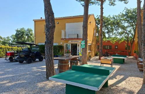 Domaine Des Mimosas - Foto 62