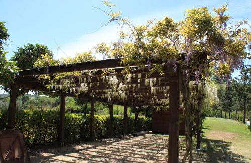 Podere la Campagnola - Foto 36