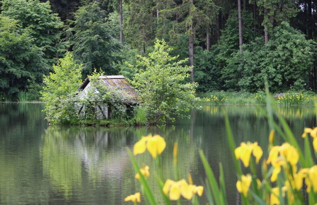 Apartment in Olsberg - Foto 10