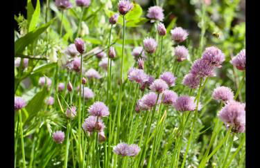 Manoir des Pavements - Photo 22