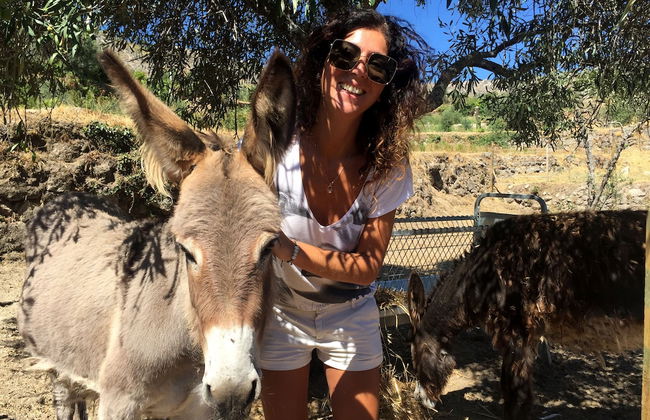 Pedra Nova - Turismo d'aldeia - Photo 34