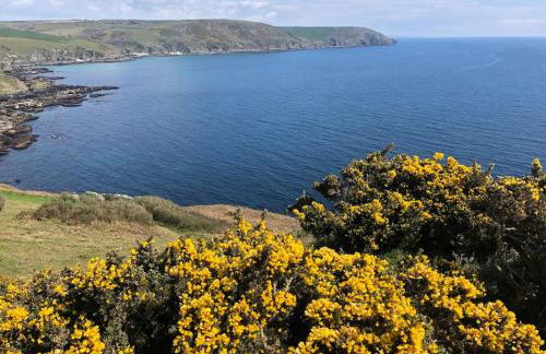 Home from Home self catering for 2 - Foto 21