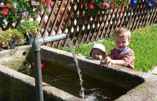 Haus-Spannbauer-Wohnung-Dreisessel - Foto 4