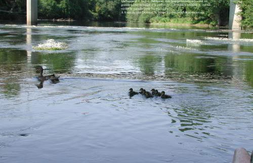 Gite rural DUNAND - Foto 20