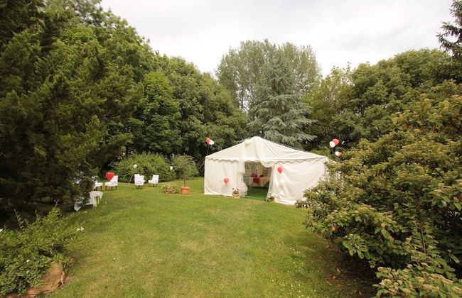 Lucciole nella nebbia - Foto 33