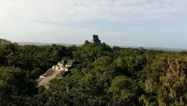 Descubriendo Tikal